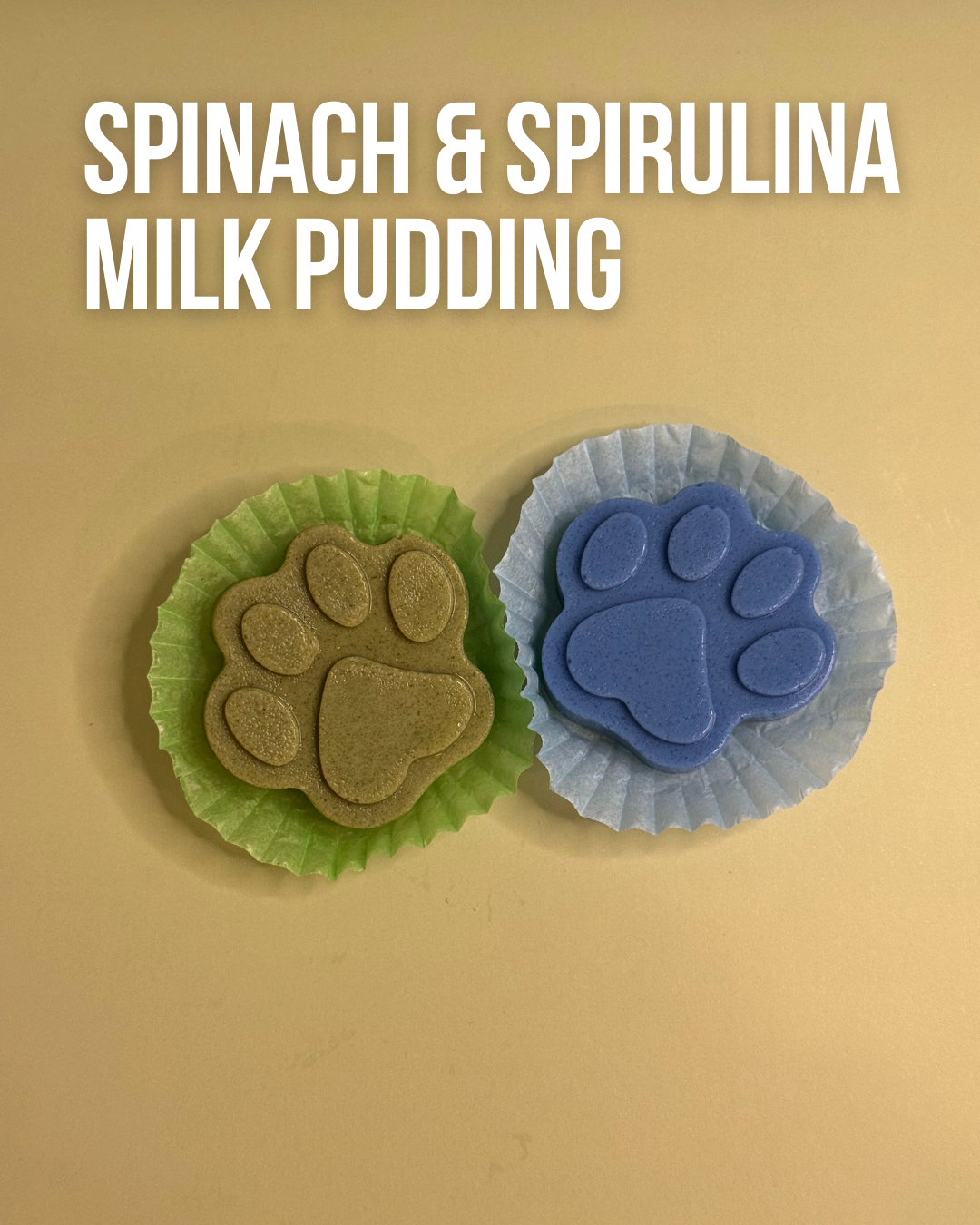 [LIMITED EDITION] 12TH PUP PAWTY PACK