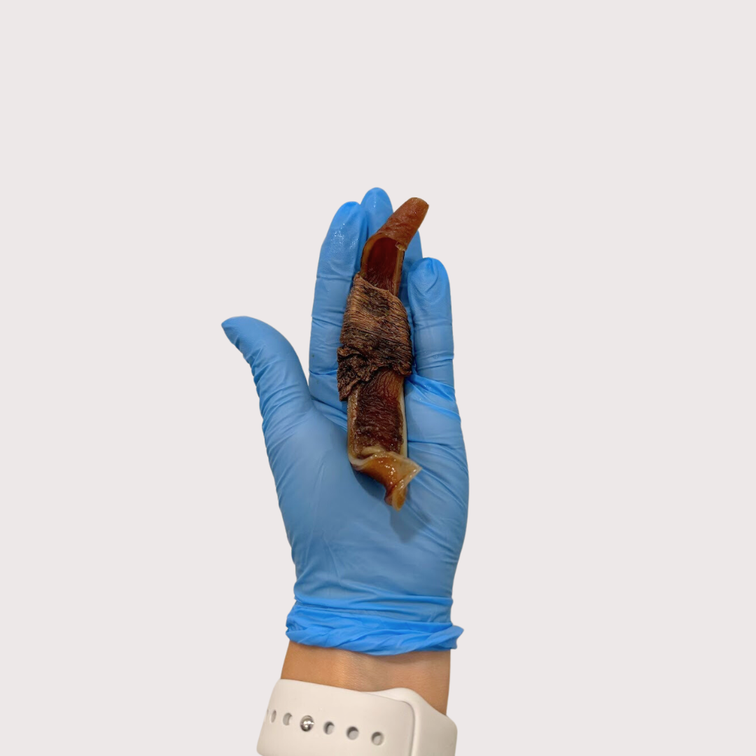 PIG EAR WRAPPED WITH DUCK